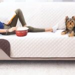Best Couch Covers for Dogs