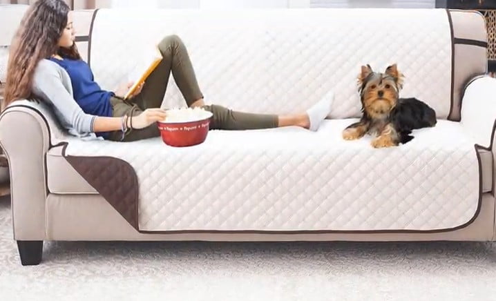 Best Couch Covers for Dogs
