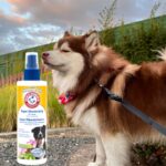 Best Deodorizer for Dogs