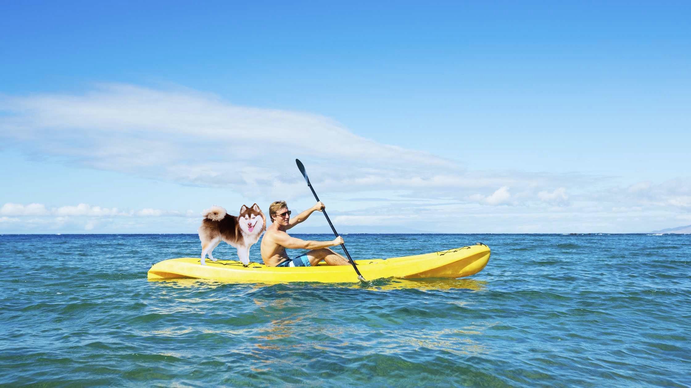 Best Kayaks for Dogs