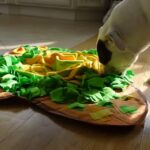 Best Snuffle Mat for Dogs