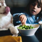 Can Dogs Eat Edamame