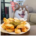 Can Dogs Eat Garlic Bread