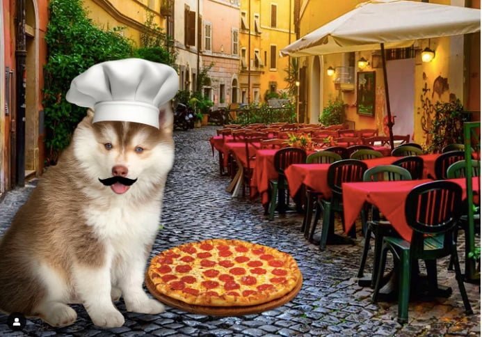 Can Dogs Eat Pepperoni