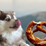 can dogs have pretzels